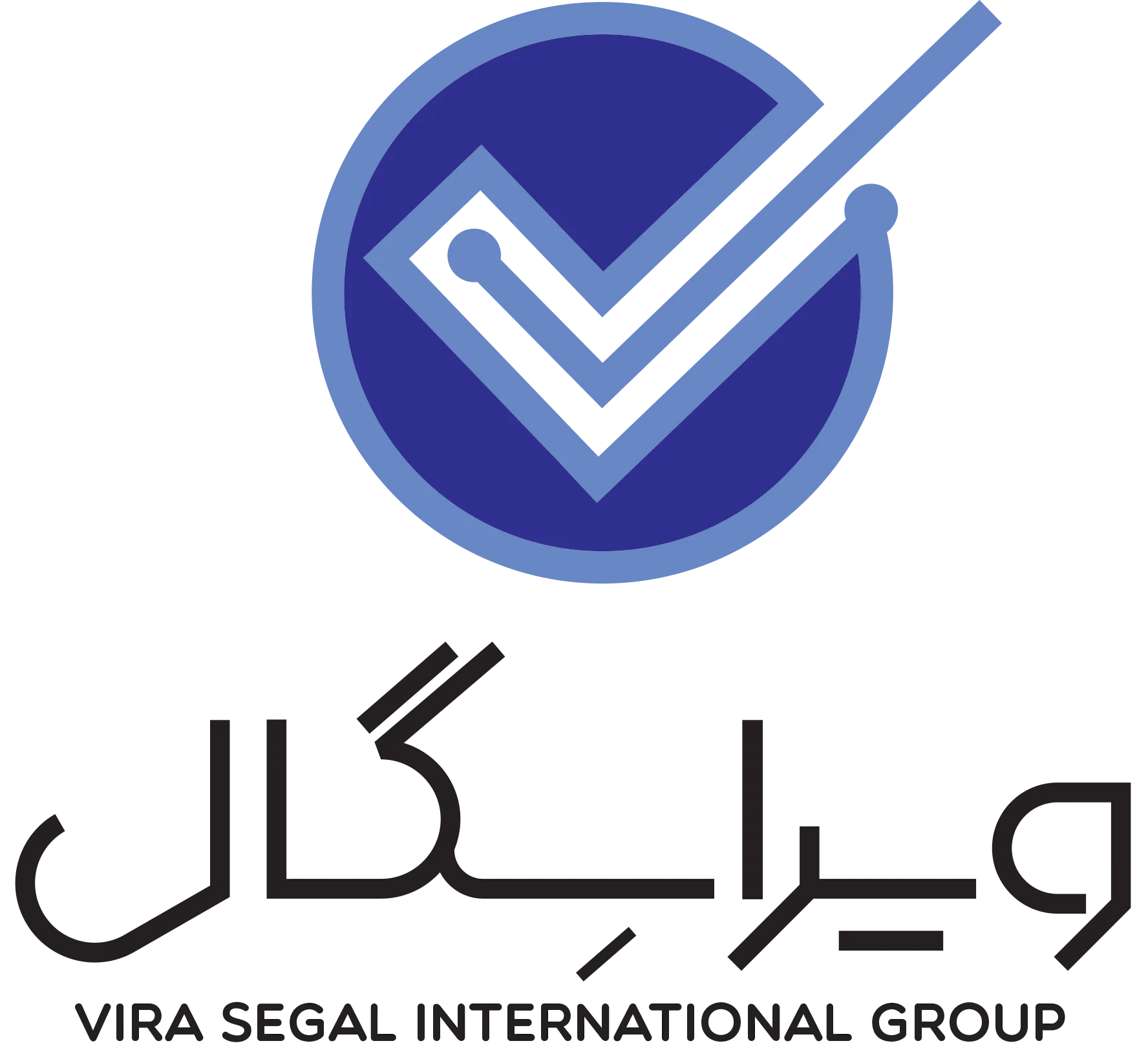 هلدینگ بین المللی ویراسگال